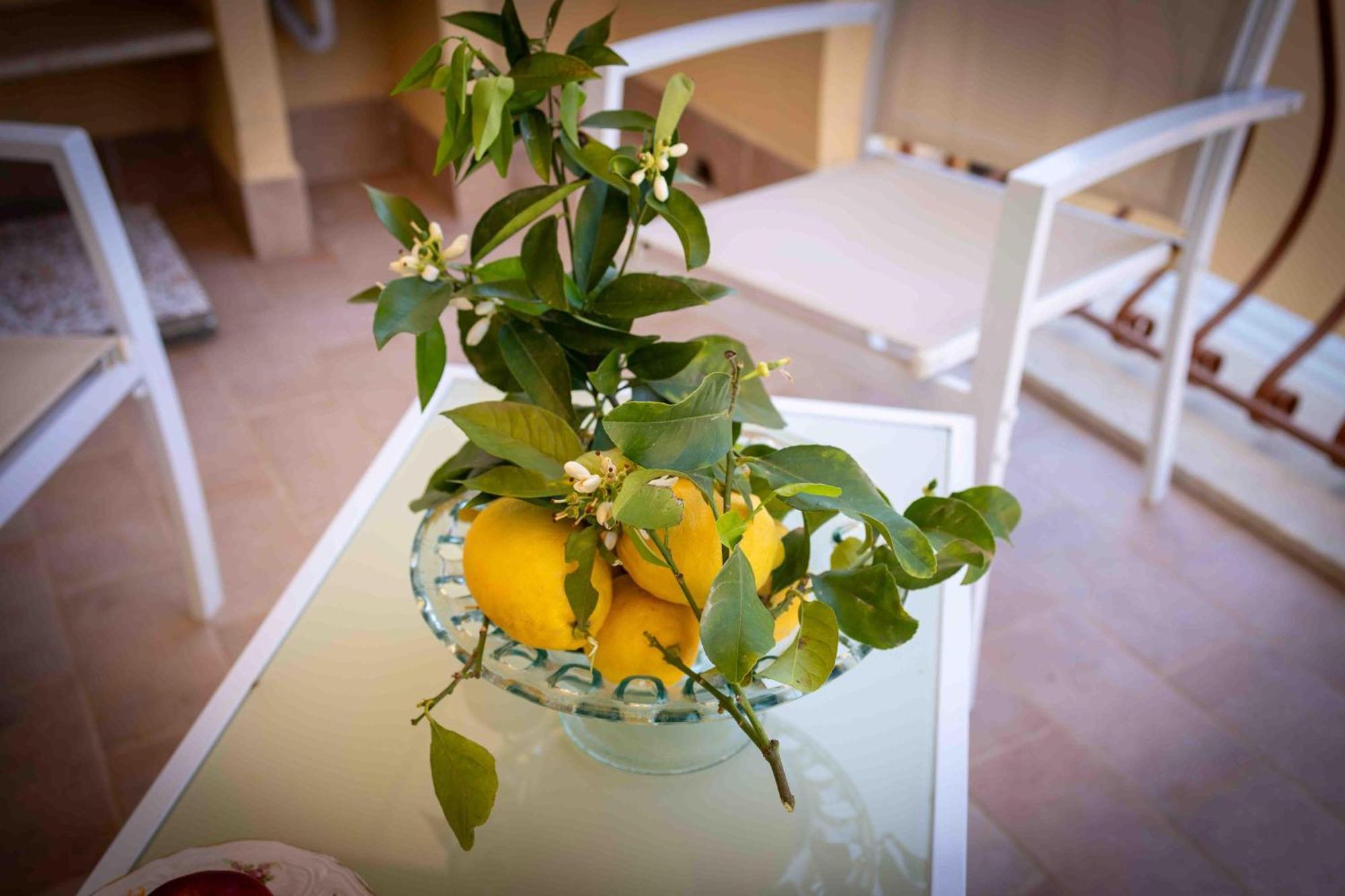 Sunshine Apartments Трапето Екстериор снимка